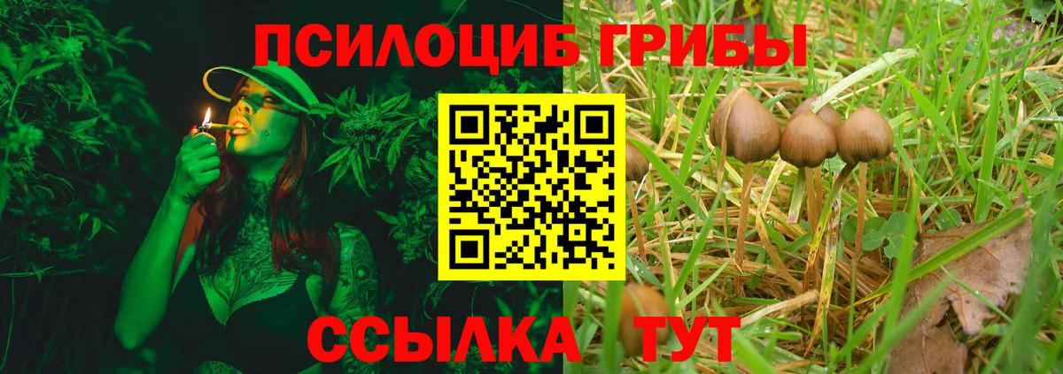 Псилоцибиновые грибы ЛСД Большой Камень